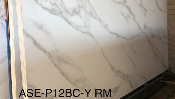 ASE-P12BC-Y-RM